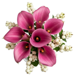Snowberry Kissed Calla Dreams Bouquet