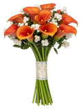 Snowberry Kissed Calla Dreams Bouquet