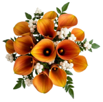 Snowberry Kissed Calla Dreams Bouquet