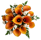 Snowberry Kissed Calla Dreams Bouquet