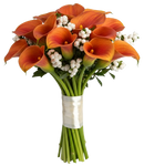 Snowberry Kissed Calla Dreams Bouquet