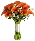 Snowberry Kissed Calla Dreams Bouquet