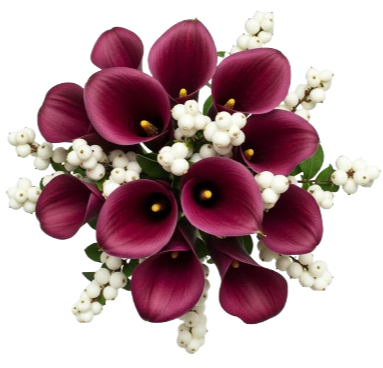 Snowberry Kissed Calla Dreams Bouquet