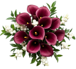Snowberry Kissed Calla Dreams Bouquet