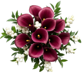 Snowberry Kissed Calla Dreams Bouquet