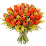 Tulips in Mimosa Splendid Bouquet