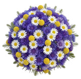 Wild Meadow Bouquet