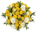 Yellow Craspedia with Scabiosa Bouquet