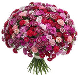 A Unique Bouquet of Sweet Williams - Flowers Box London