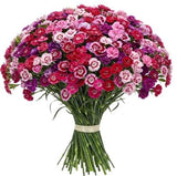 A Unique Bouquet of Sweet Williams - Flowers Box London