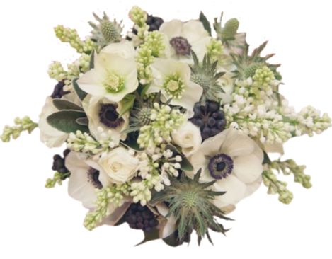 A White Beauty Bouquet