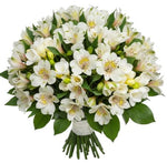 Alstroemeria and White Freesias Bouquet