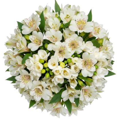 Alstroemeria and White Freesias Bouquet