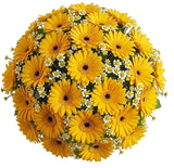 Amazing Bouquet of Gerberas and Tanacetum - Flowers Box London