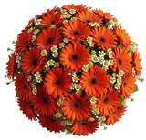 Amazing Bouquet of Gerberas and Tanacetum - Flowers Box London