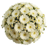 Amazing Bouquet of Gerberas and Tanacetum - Flowers Box London