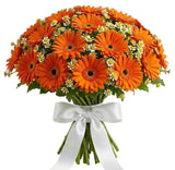 Amazing Bouquet of Gerberas and Tanacetum - Flowers Box London