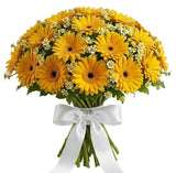 Amazing Bouquet of Gerberas and Tanacetum - Flowers Box London