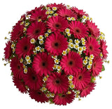 Amazing Bouquet of Gerberas and Tanacetum - Flowers Box London
