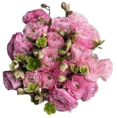 Amazing Bouquet of Pink Ranunculus and Helleborus - Flowers Box London