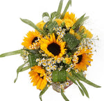 Amazing Box of Sunflowers with Daisy Tanacetum