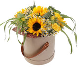 Amazing Box of Sunflowers with Daisy Tanacetum