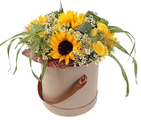 Amazing Box of Sunflowers with Daisy Tanacetum