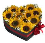 Amazing Box of Sunflowers with Gypsophila