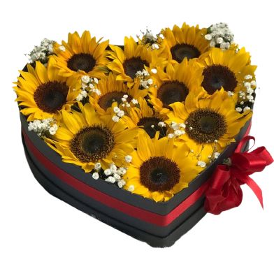 Amazing Box of Sunflowers with Gypsophila