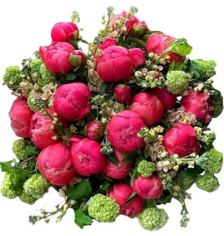 Amazing Coral Peony in Green Bouquet - Flowers Box London