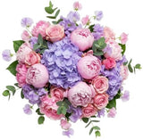 Amazing Peonies and Sweet Pea Bouquet - Flowers Box London