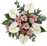 Anthurium with Alstroemeria Bouquet - Flowers Box London