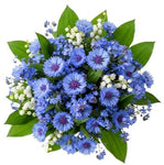 Aromatic Bouquet of Convallaria in Blue