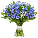Aromatic Bouquet of Convallaria in Blue