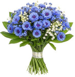 Aromatic Bouquet of Convallaria in Blue