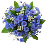 Aromatic Bouquet of Convallaria in Blue - Flowers Box London