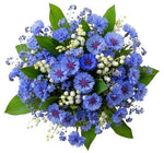 Aromatic Bouquet of Convallaria in Blue