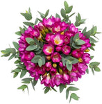 Aromatic Bouquet of Freesias and Eucalyptus