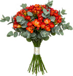Aromatic Bouquet of Freesias and Eucalyptus