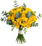 Aromatic Bouquet of Freesias and Eucalyptus