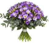 Aromatic Bouquet of Freesias and Eucalyptus