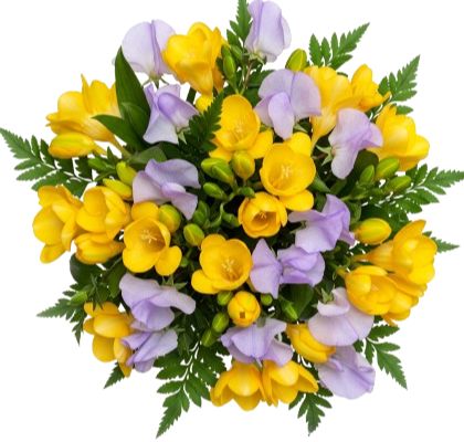 Aromatic Bouquet of Freesias and Sweet Pea