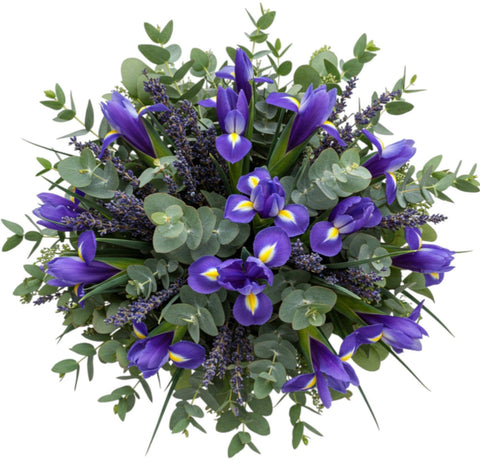 Aromatic Bouquet of Iris with Lavender and Eucaliptus