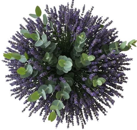 Aromatic Bouquet of Lavender and Eucalyptus - Flowers Box London