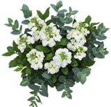 Aromatic Bouquet of Stock and Eucalyptus - Flowers Box London