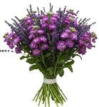 Aromatic Bouquet of Stocks an Lavender - Flowers Box London