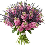 Aromatic Bouquet of Stocks an Lavender - Flowers Box London
