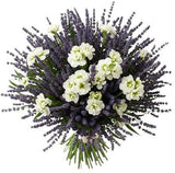Aromatic Bouquet of Stocks an Lavender - Flowers Box London