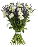 Aromatic Bouquet of Stocks an Lavender - Flowers Box London
