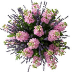 Aromatic Bouquet of Stocks an Lavender - Flowers Box London